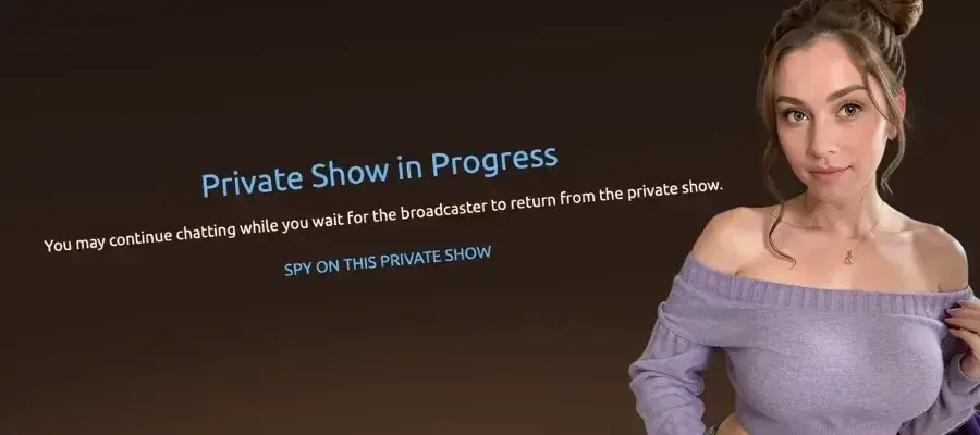 How 'Private' is A Cam Show Really? VIP & Exclusive Modes Explained featured image